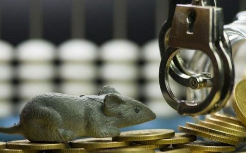 国际期货种类图文